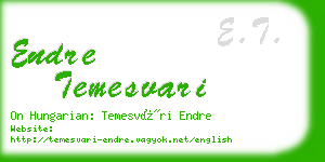 endre temesvari business card